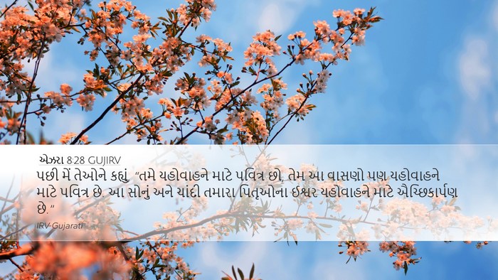 એઝરા 8:28 GUJIRV Bible Verse Image