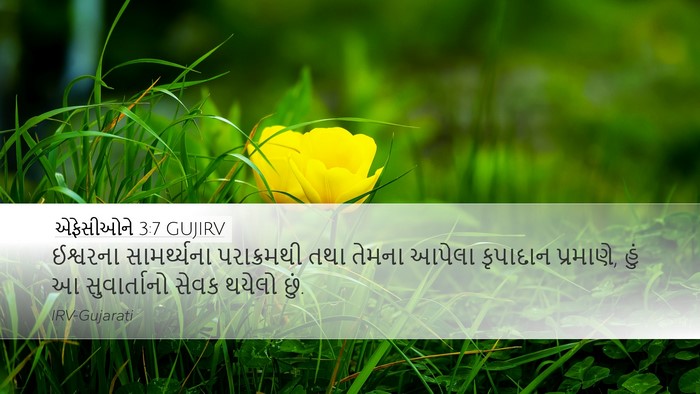 એફેસીઓને 3:7 GUJIRV Bible Verse Image