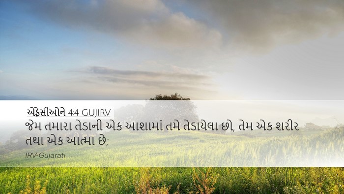 એફેસીઓને 4:4 GUJIRV Bible Verse Image