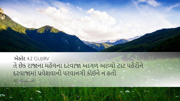એસ્તેર 4:2 GUJIRV Bible Verse Image