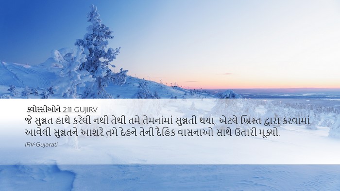 ક્લોસ્સીઓને 2:11 GUJIRV Bible Verse Image
