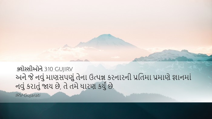 ક્લોસ્સીઓને 3:10 GUJIRV Bible Verse Image