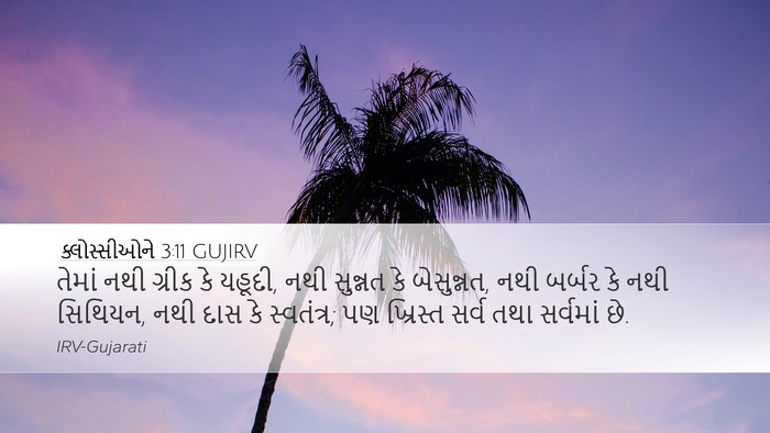 ક્લોસ્સીઓને 3:11 GUJIRV Bible Verse Image