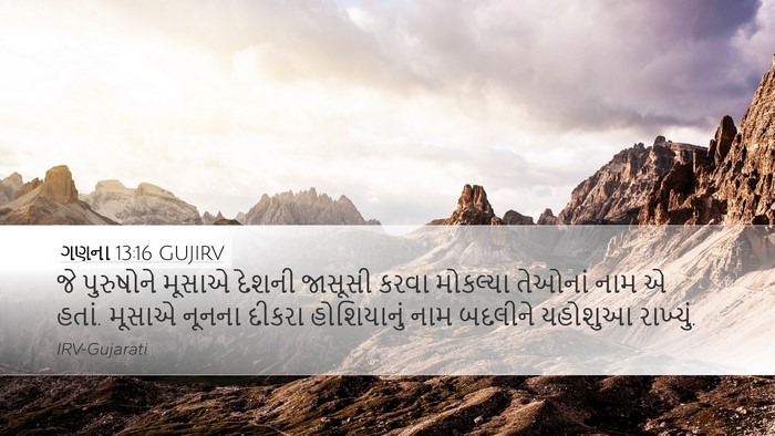 ગણના 13:16 GUJIRV Bible Verse Image