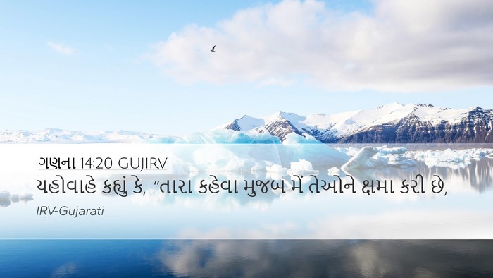 ગણના 14:20 GUJIRV Bible Verse Image