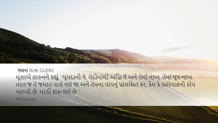 ગણના 16:46 GUJIRV Bible Verse Image
