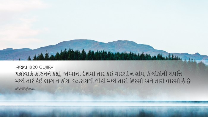 ગણના 18:20 GUJIRV Bible Verse Image