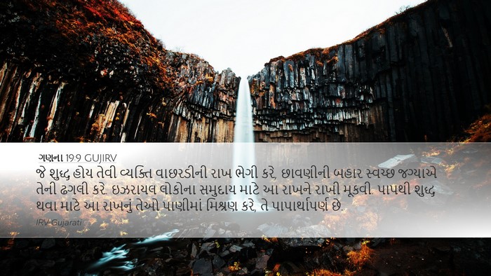 ગણના 19:9 GUJIRV Bible Verse Image