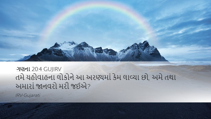 ગણના 20:4 GUJIRV Desktop Wallpaper - તમે યહોવાહના - Desktop Bible Verse Wallpaper