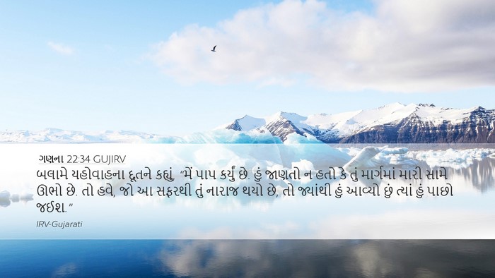 ગણના 22:34 GUJIRV Bible Verse Image