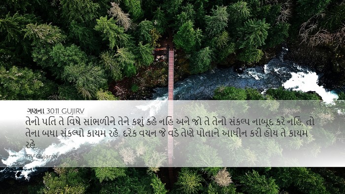 ગણના 30:11 GUJIRV Desktop Wallpaper - તેનો પતિ તે વિષે - Desktop Bible Verse Wallpaper