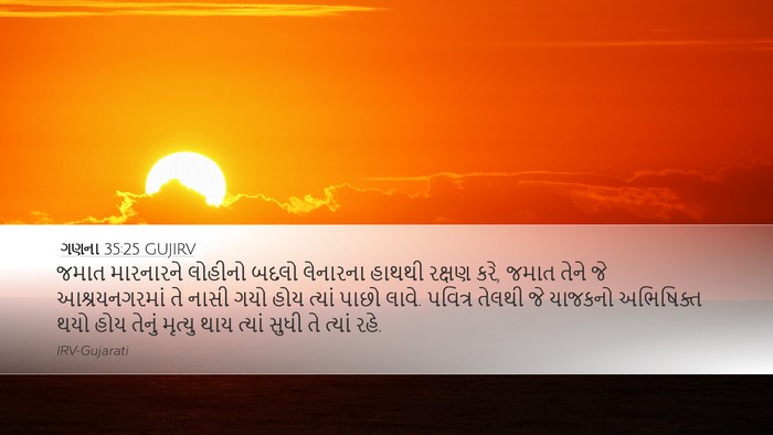 ગણના 35:25 GUJIRV Bible Verse Image