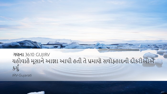 ગણના 36:10 GUJIRV Bible Verse Image