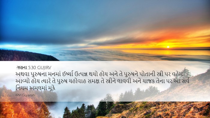 ગણના 5:30 GUJIRV Bible Verse Image
