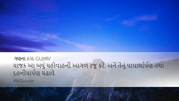 ગણના 6:16 GUJIRV Bible Verse Image