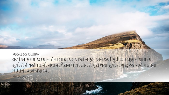 ગણના 6:5 GUJIRV Bible Verse Image