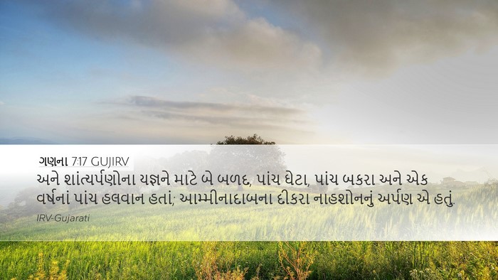 ગણના 7:17 GUJIRV Bible Verse Image