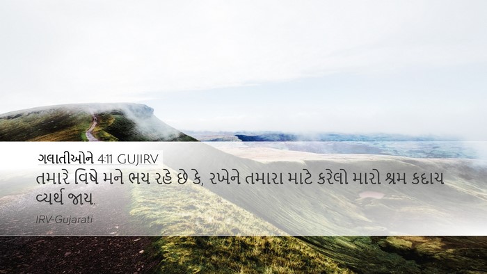 ગલાતીઓને 4:11 GUJIRV Bible Verse Image