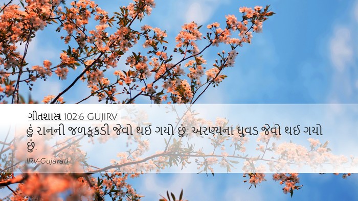 ગીતશાસ્ત્ર 102:6 GUJIRV Desktop Wallpaper - હું રાનની જળકૂકડી - Desktop Bible Verse Wallpaper