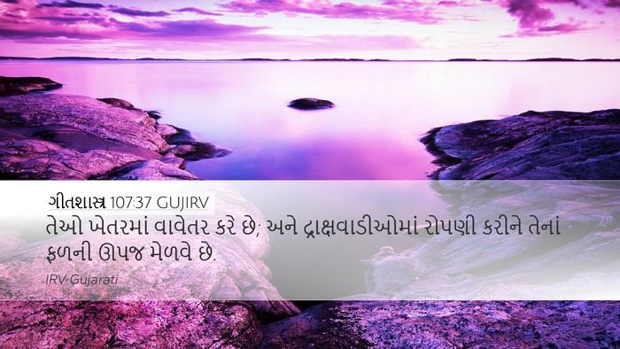 ગીતશાસ્ત્ર 107:37 GUJIRV Bible Verse Image