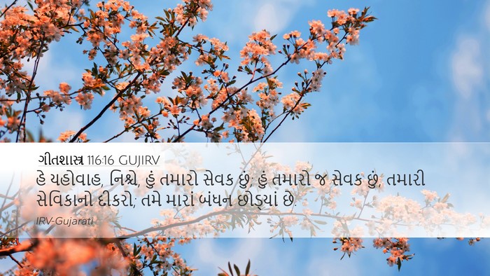 ગીતશાસ્ત્ર 116:16 GUJIRV Bible Verse Image