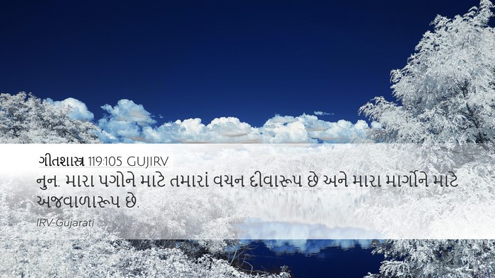 ગીતશાસ્ત્ર 119:105 GUJIRV Bible Verse Image