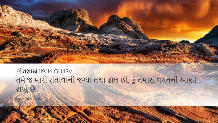 ગીતશાસ્ત્ર 119:114 GUJIRV Bible Verse Image