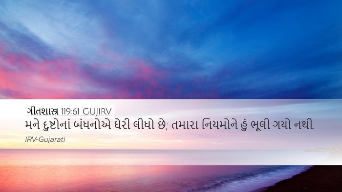 ગીતશાસ્ત્ર 119:61 GUJIRV Bible Verse Image
