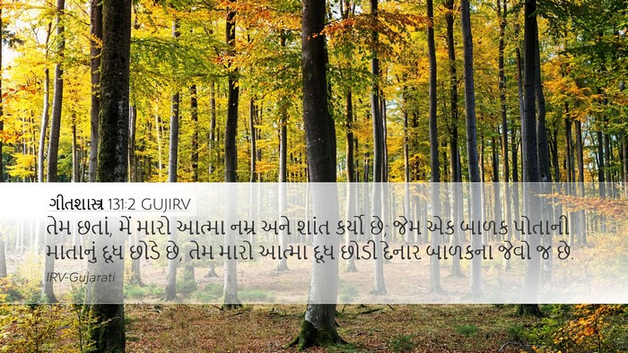 ગીતશાસ્ત્ર 131:2 GUJIRV Bible Verse Image