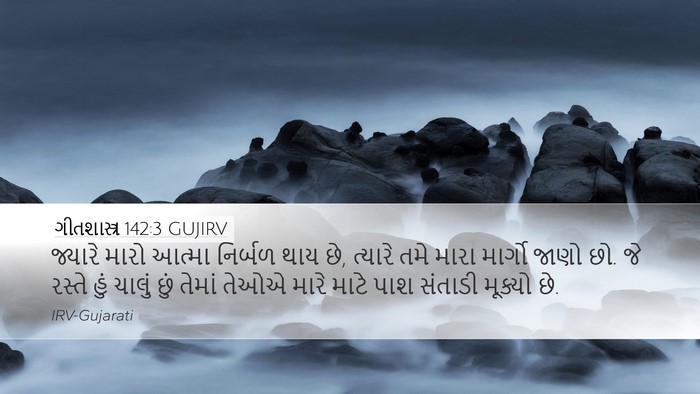 ગીતશાસ્ત્ર 142:3 GUJIRV Bible Verse Image
