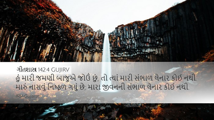ગીતશાસ્ત્ર 142:4 GUJIRV Bible Verse Image
