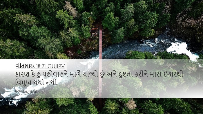 ગીતશાસ્ત્ર 18:21 GUJIRV Bible Verse Image