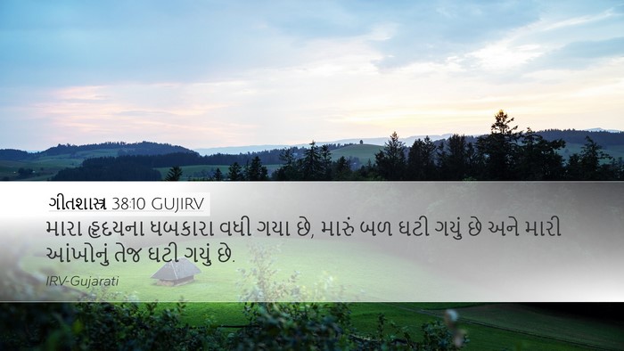 ગીતશાસ્ત્ર 38:10 GUJIRV Bible Verse Image
