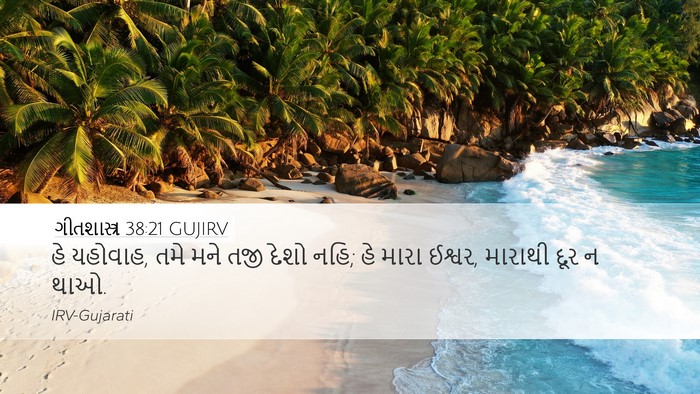 ગીતશાસ્ત્ર 38:21 GUJIRV Bible Verse Image