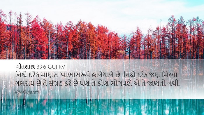 ગીતશાસ્ત્ર 39:6 GUJIRV Bible Verse Image