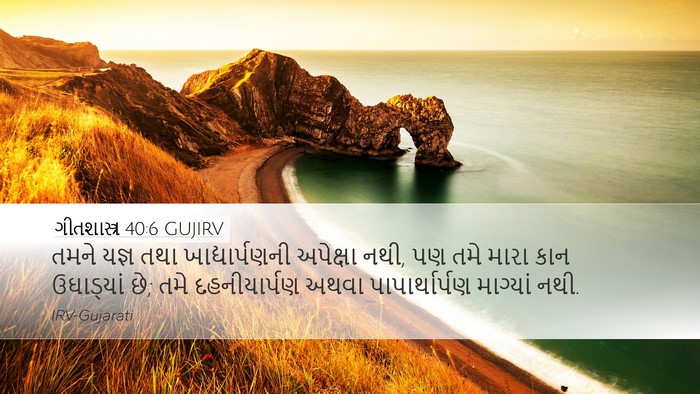 ગીતશાસ્ત્ર 40:6 GUJIRV Bible Verse Image