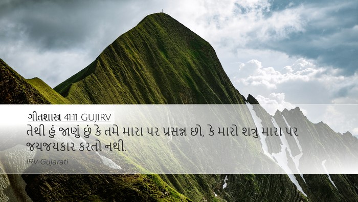 ગીતશાસ્ત્ર 41:11 GUJIRV Bible Verse Image