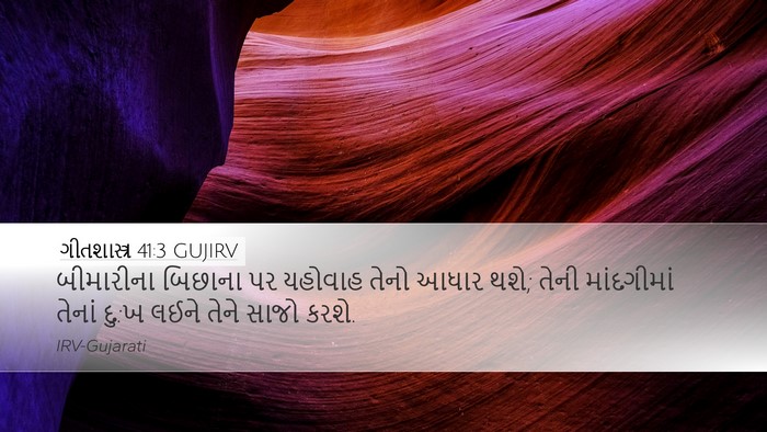 ગીતશાસ્ત્ર 41:3 GUJIRV Bible Verse Image