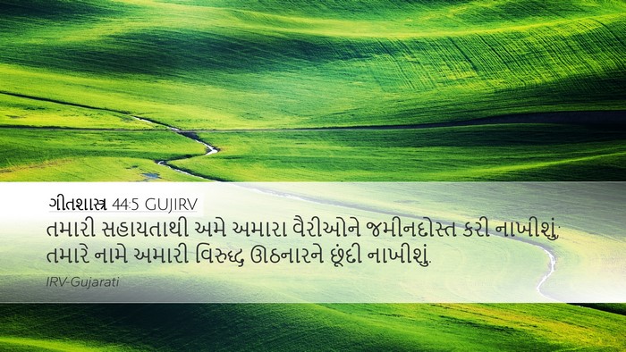 ગીતશાસ્ત્ર 44:5 GUJIRV Bible Verse Image