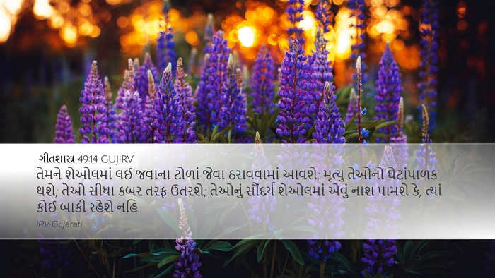 ગીતશાસ્ત્ર 49:14 GUJIRV Bible Verse Image