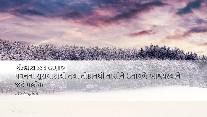 ગીતશાસ્ત્ર 55:8 GUJIRV Desktop Wallpaper - પવનના સુસવાટાથી - Desktop Bible Verse Wallpaper