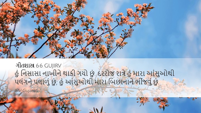 ગીતશાસ્ત્ર 6:6 GUJIRV Bible Verse Image