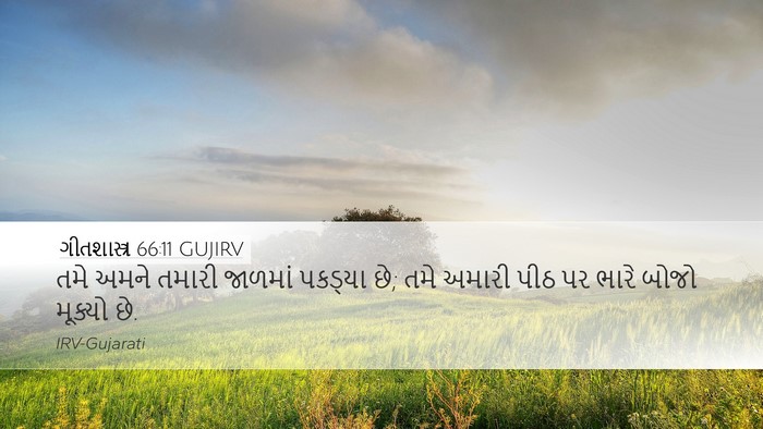 ગીતશાસ્ત્ર 66:11 GUJIRV Desktop Wallpaper - તમે અમને તમારી - Desktop Bible Verse Wallpaper