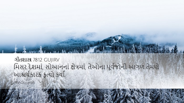 ગીતશાસ્ત્ર 78:12 GUJIRV Bible Verse Image