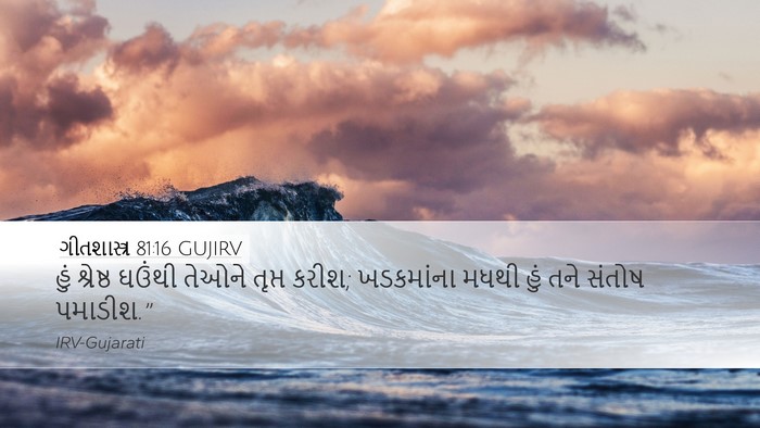 ગીતશાસ્ત્ર 81:16 GUJIRV Bible Verse Image