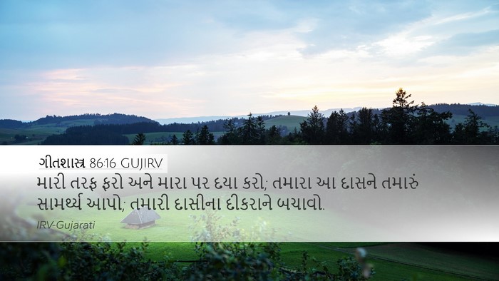 ગીતશાસ્ત્ર 86:16 GUJIRV Bible Verse Image