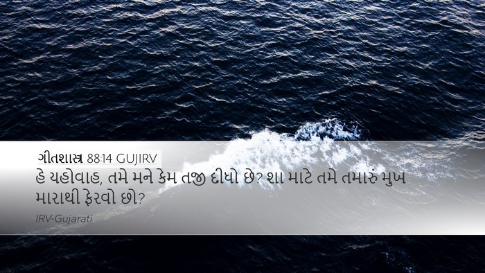 ગીતશાસ્ત્ર 88:14 GUJIRV Bible Verse Image