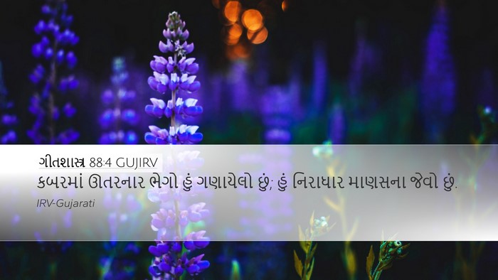 ગીતશાસ્ત્ર 88:4 GUJIRV Bible Verse Image