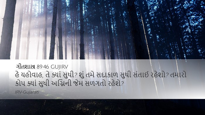 ગીતશાસ્ત્ર 89:46 GUJIRV Bible Verse Image