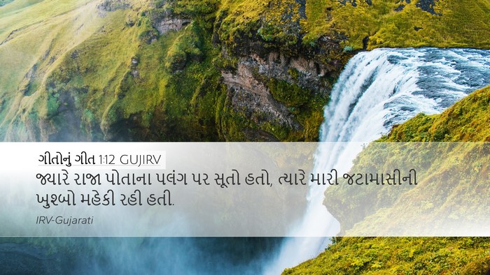 ગીતોનું ગીત 1:12 GUJIRV Bible Verse Image